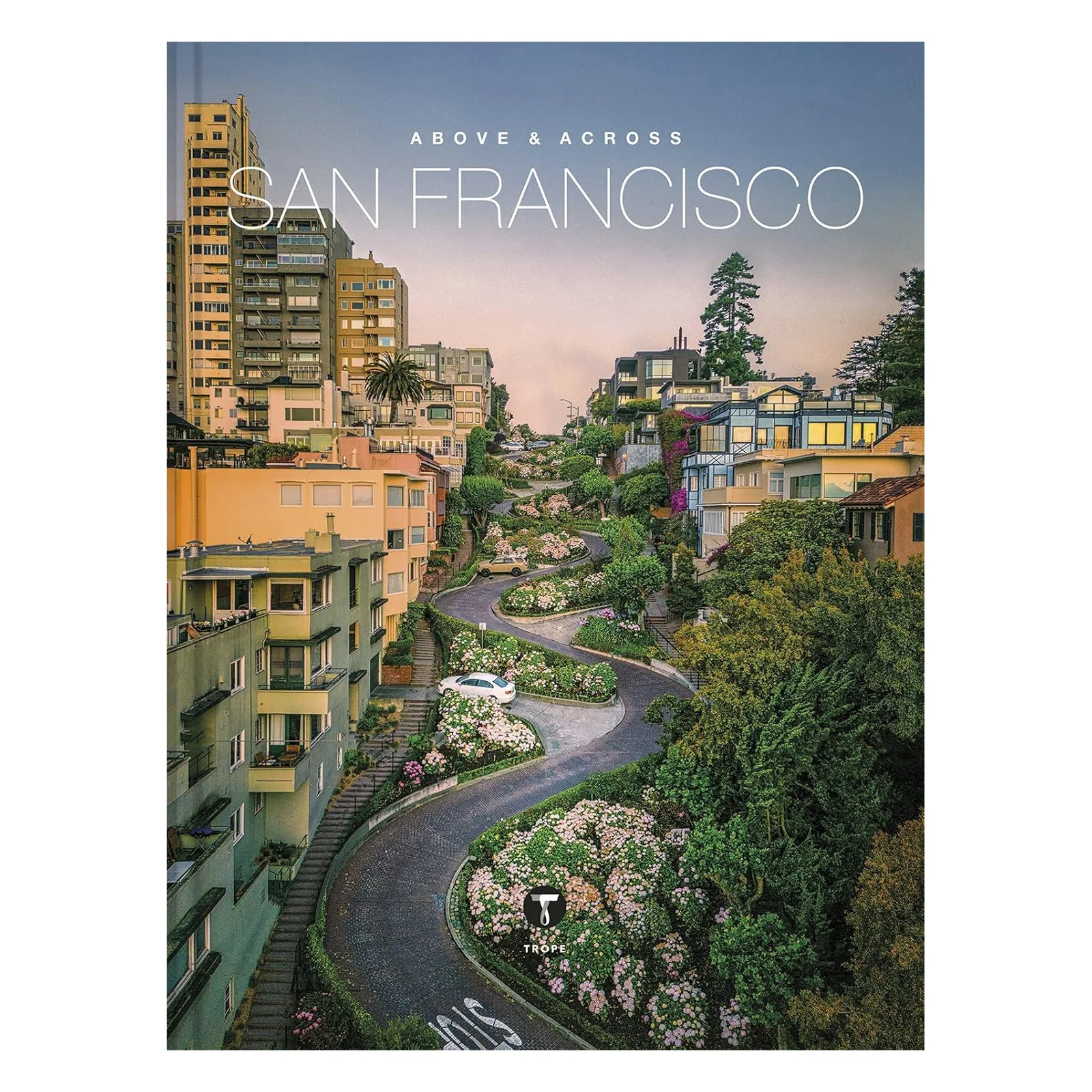 Above and Across San Francisco