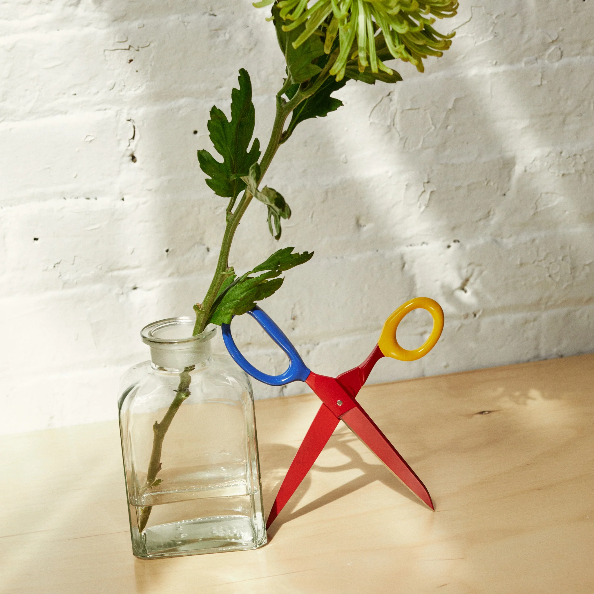 Primary Chroma Scissors - Image 6