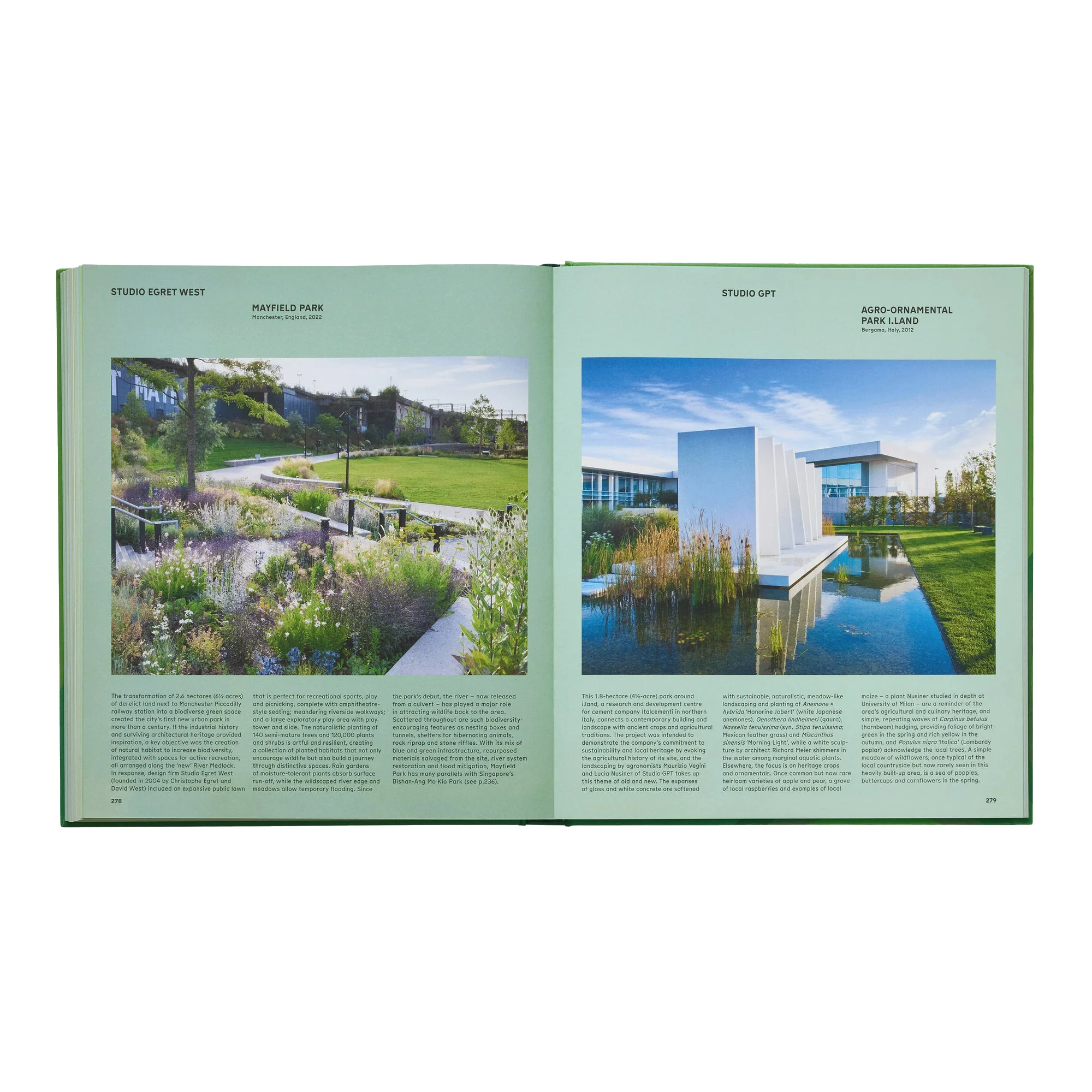 The Contemporary Garden - Image 4