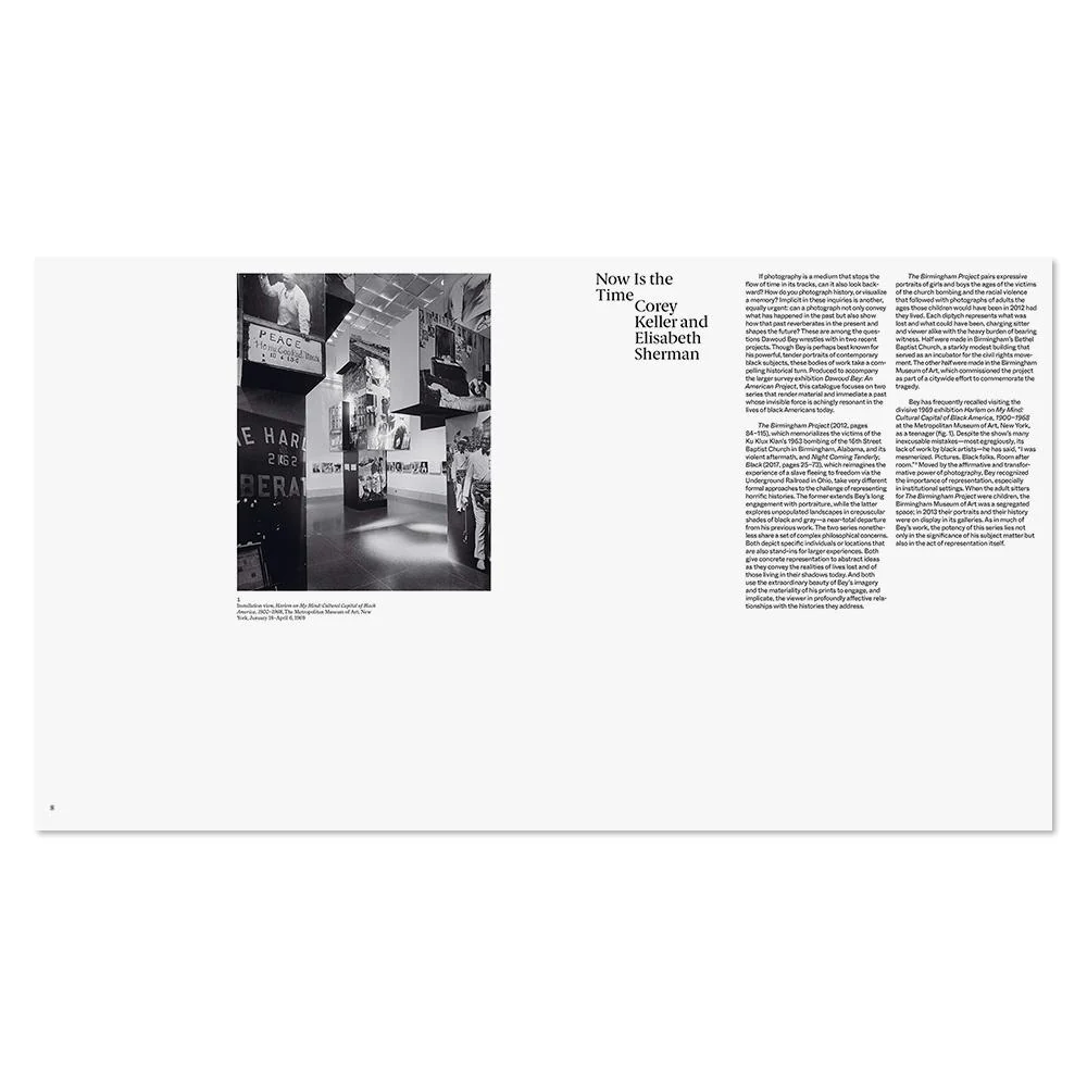 Dawoud Bey: Two American Projects - Image 2