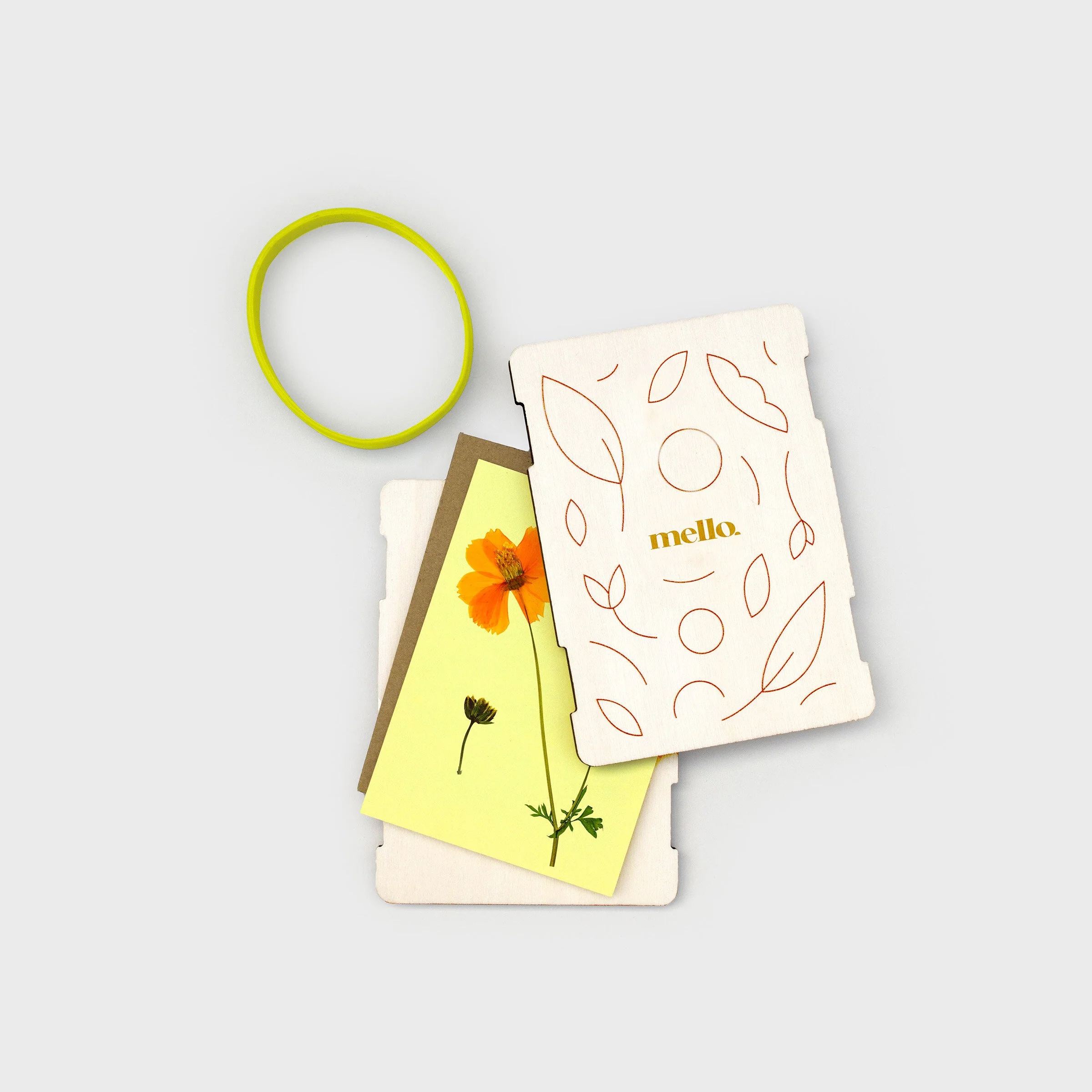 Flower Power: Pocket-Sized Flower Press Kit - Image 5