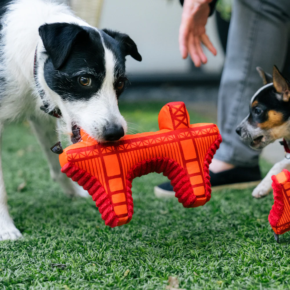 Golden Gate Bridge Dog Toy: Large - Image 2