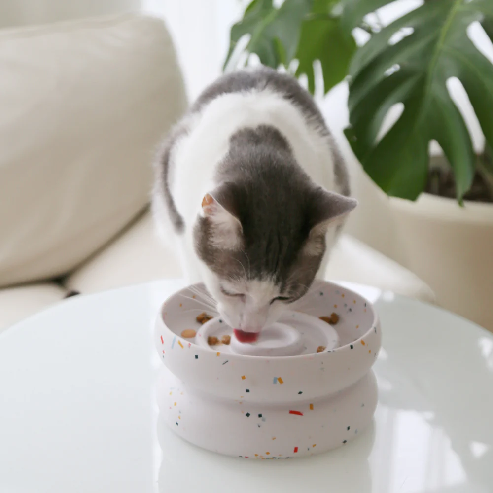 Halo Tempo Slowfeeder Pet Bowl - Image 2