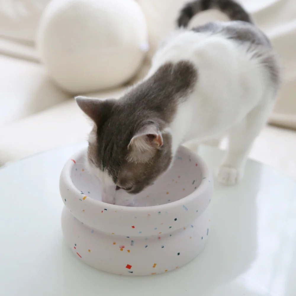 Halo Tempo Slowfeeder Pet Bowl - Image 4
