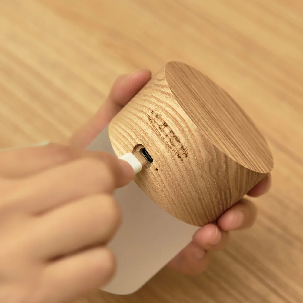 Large Lemelia Light: Natural Ash - Image 4