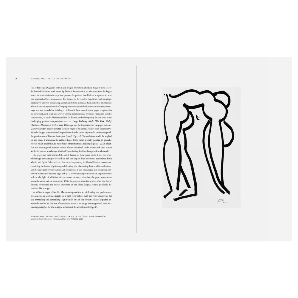 Matisse and the Joy of Drawing - Image 3