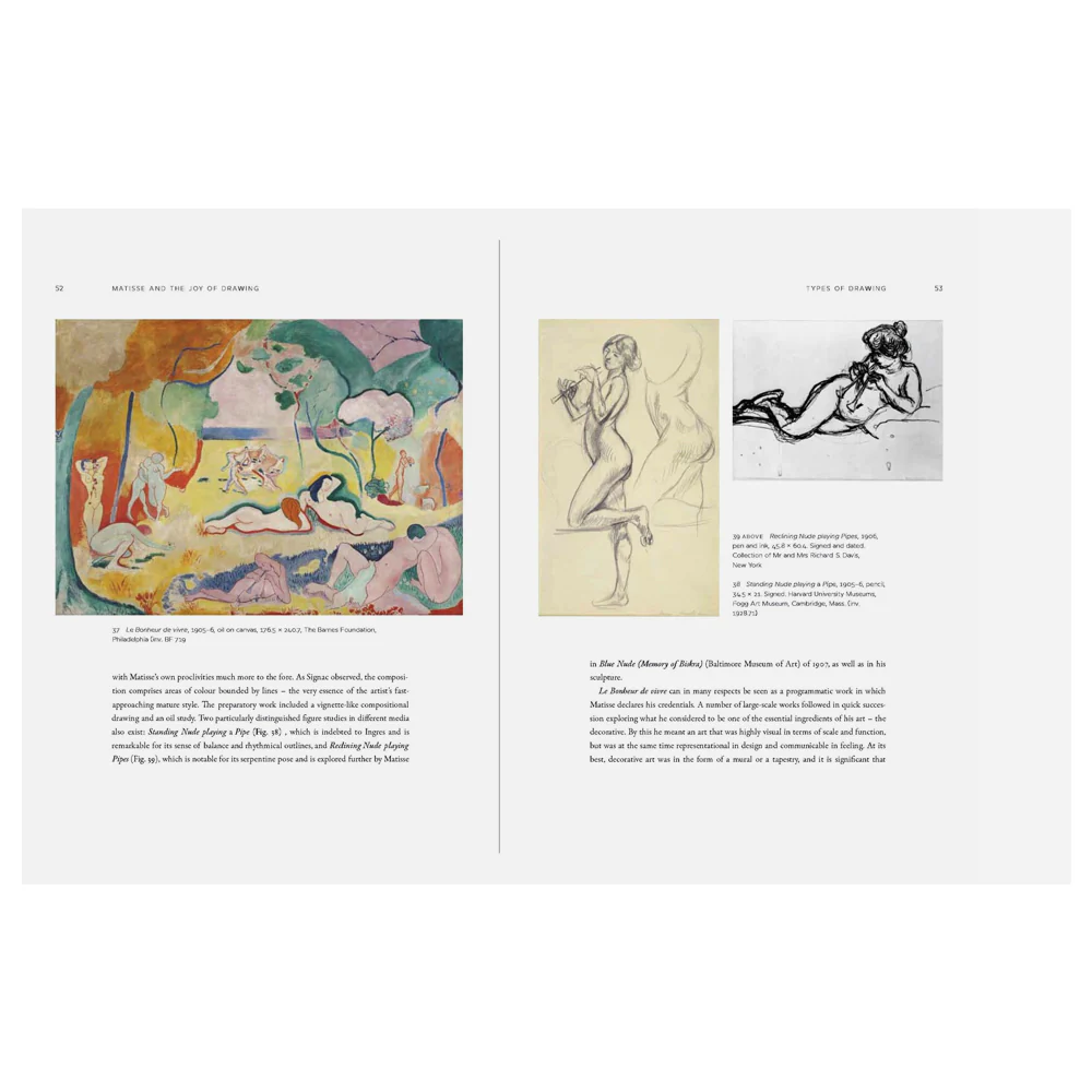 Matisse and the Joy of Drawing - Image 5