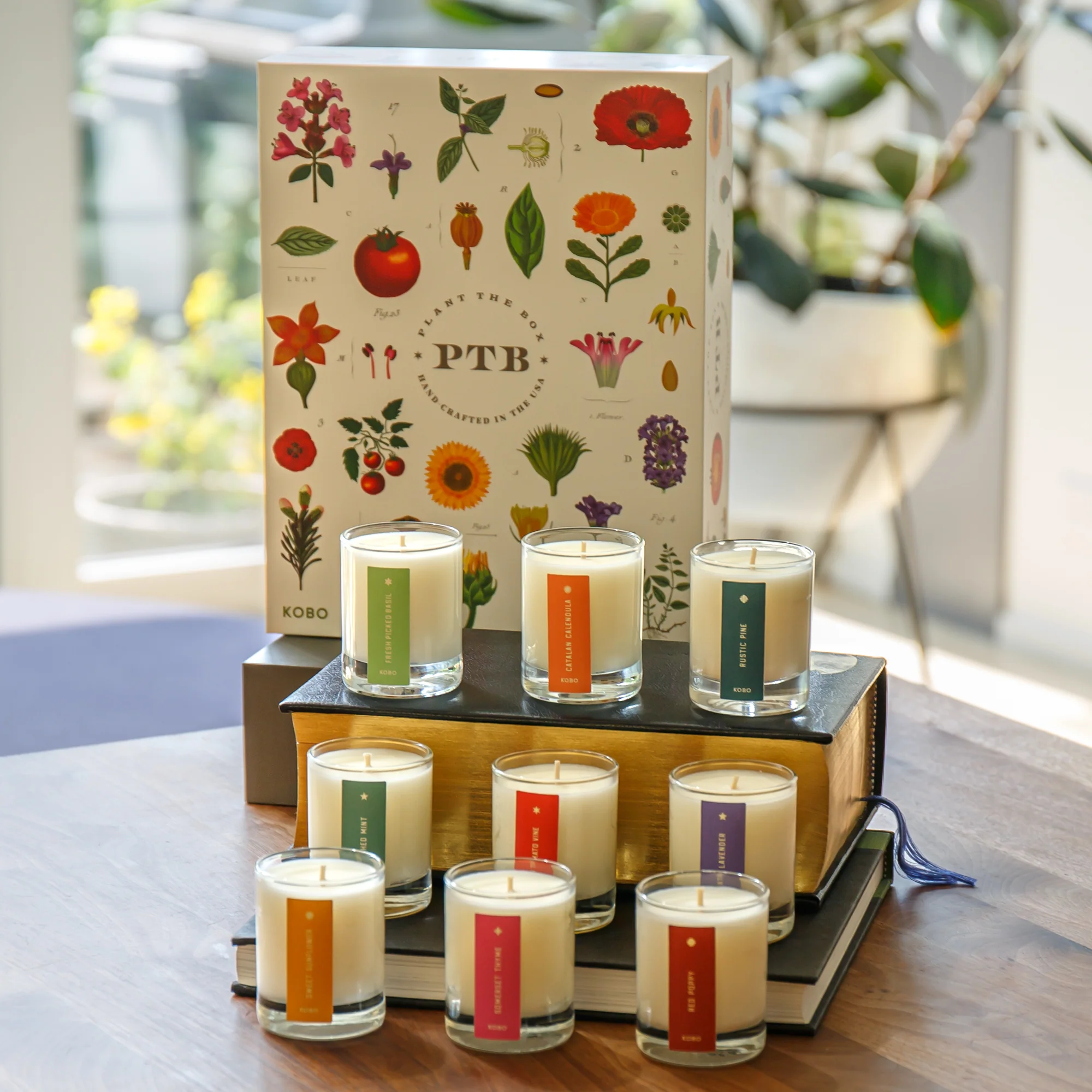 Plant the Box Votive Gift Set - Image 2