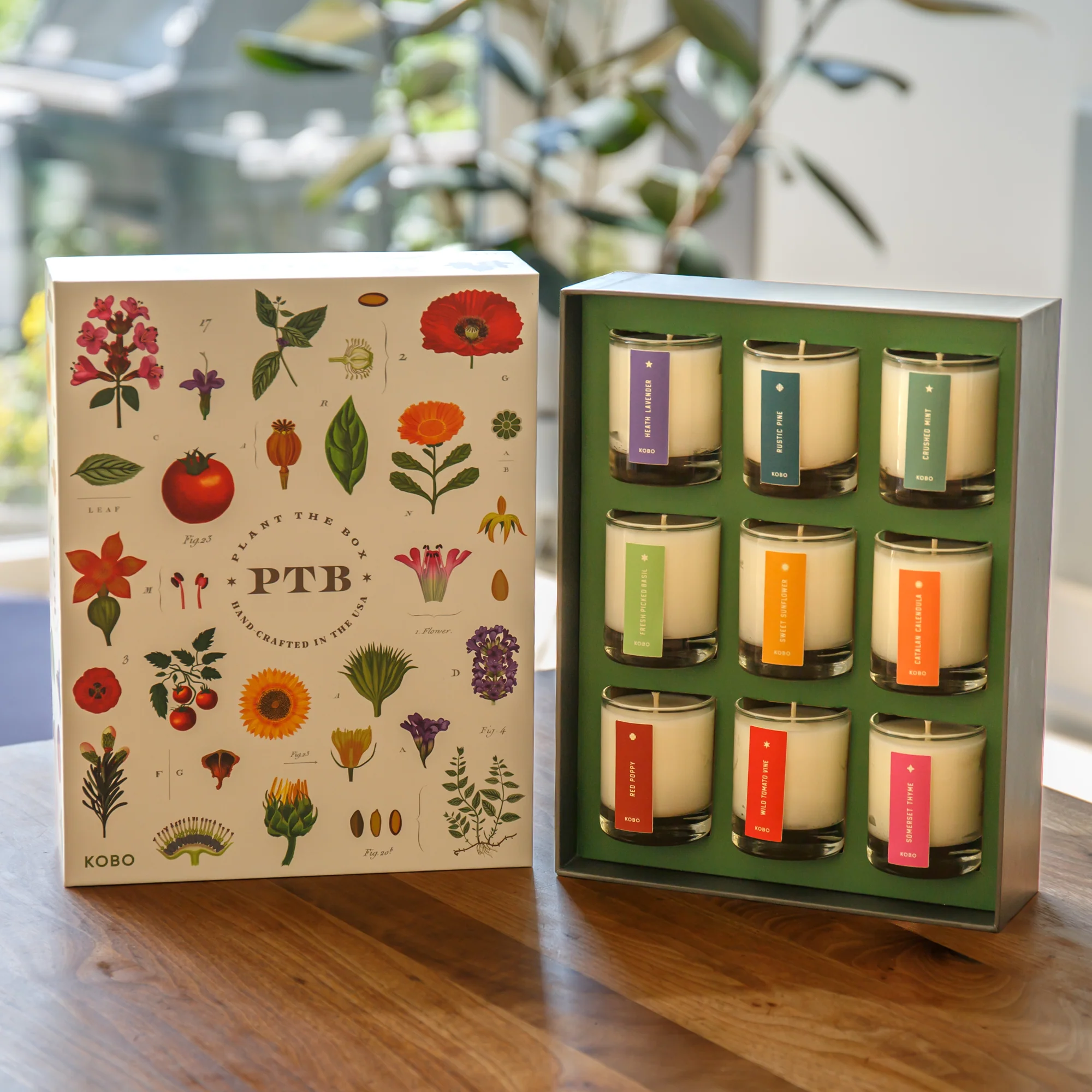 Plant the Box Votive Gift Set - Image 3