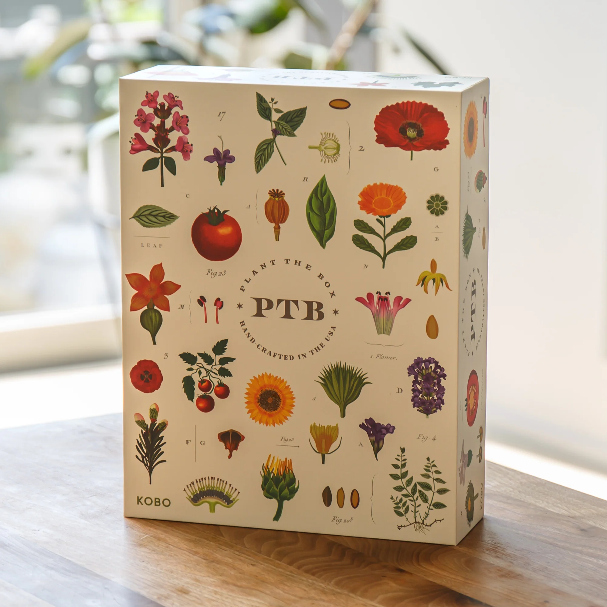 Plant the Box Votive Gift Set - Image 5
