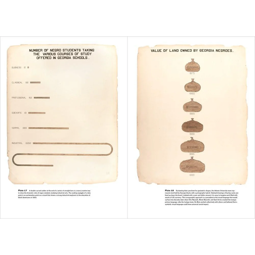 W.E.B. Du Bois Data Portraits: Visualizing Black America - Image 3