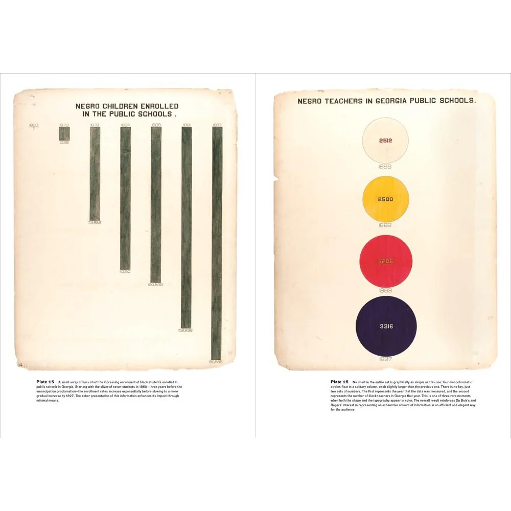 W.E.B. Du Bois Data Portraits: Visualizing Black America - Image 4