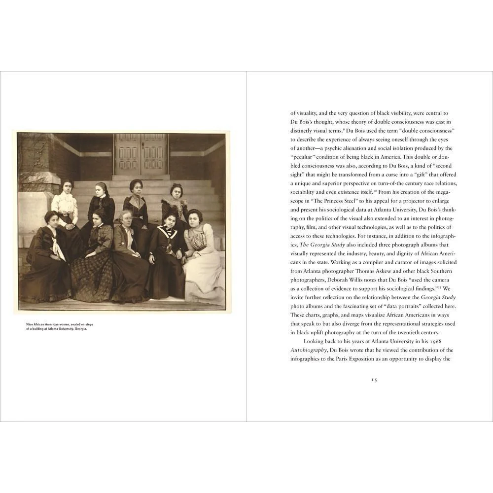 W.E.B. Du Bois Data Portraits: Visualizing Black America - Image 5